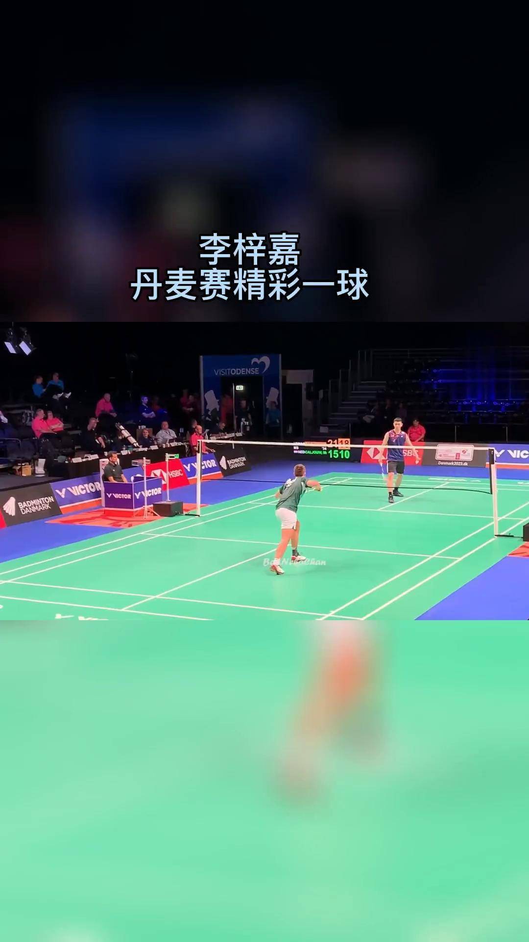 开云体育APP下载-丹麦队完胜德国队，李梓嘉带队取胜