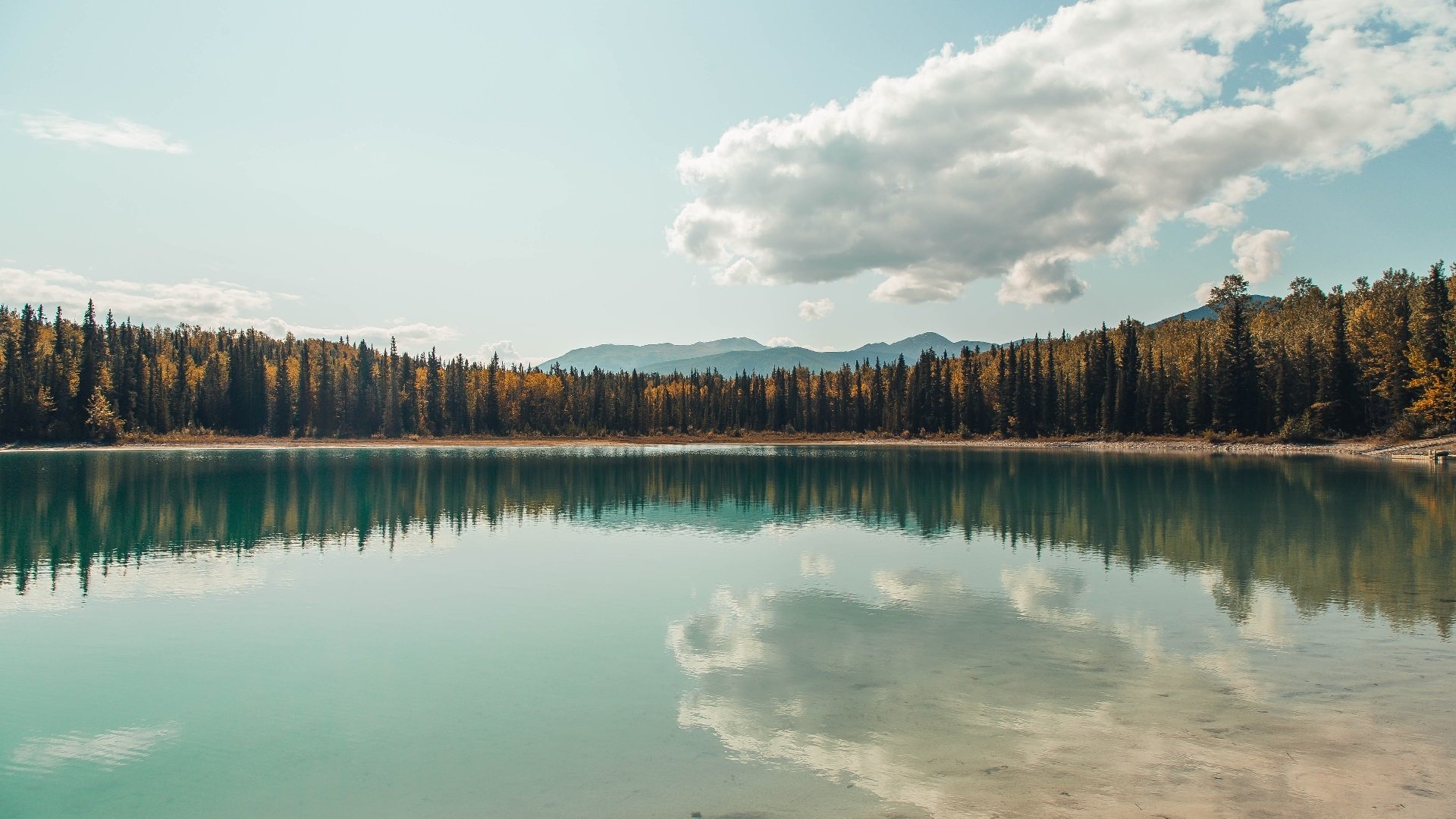 夜凉如水,天山雪崩,新疆末节屠龙记,欧文关键先生本色