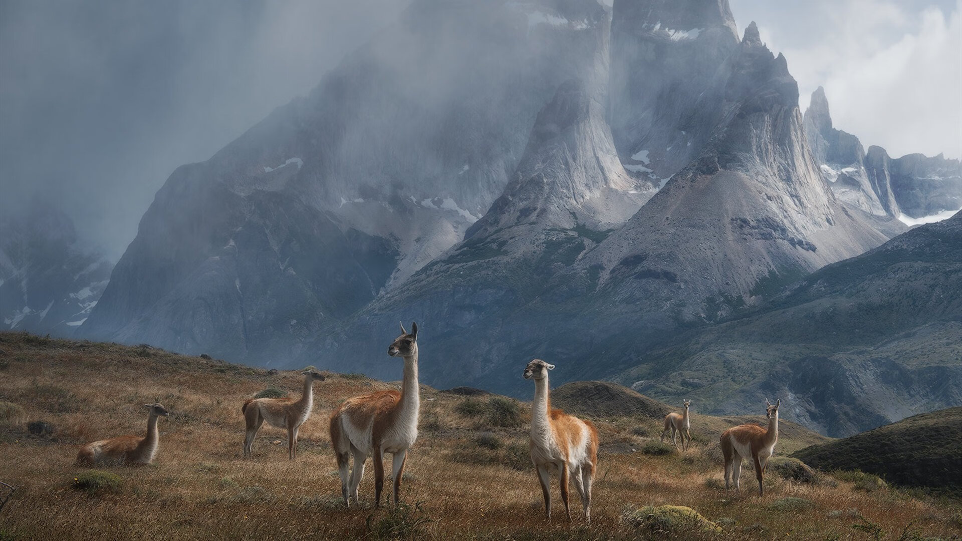 夜凉如水,天山雪崩,新疆末节屠龙记,欧文关键先生本色