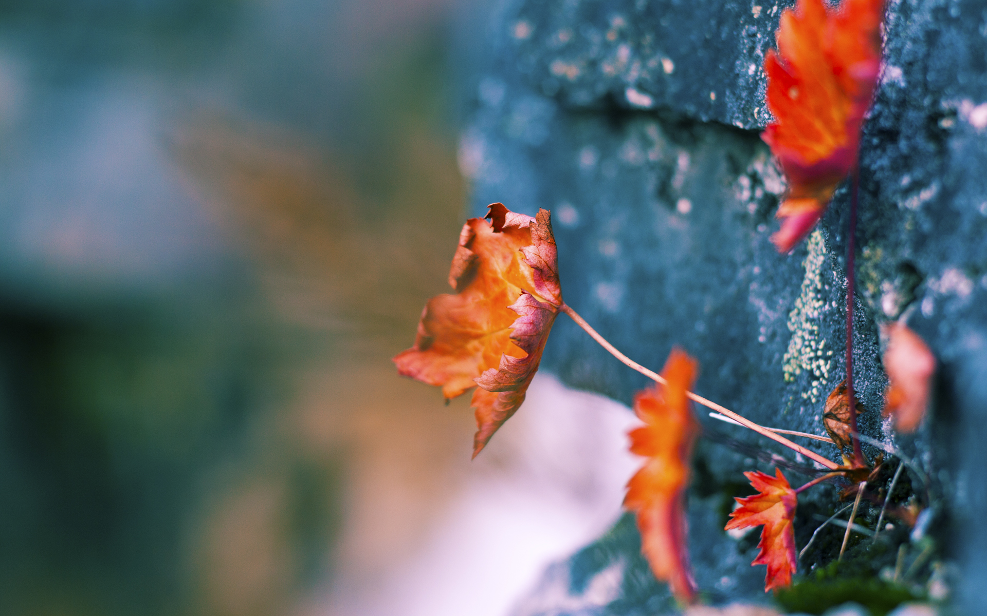 主帅的节拍器，保罗如何在骑士奇才鏖战中拨动全队心跳