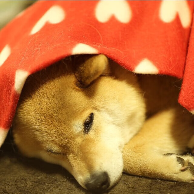 审判日，抢七之夜的卢卡库如何让所有质疑成为回响