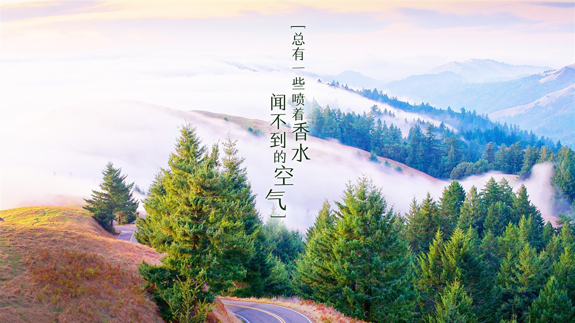 奥运周期关键战，伊萨克主宰赛场，尤文血拼安哥拉夺胜