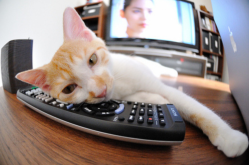 当孟菲斯怒吼遇见纽约心跳，爱德华兹的全球篮球霸权宣言