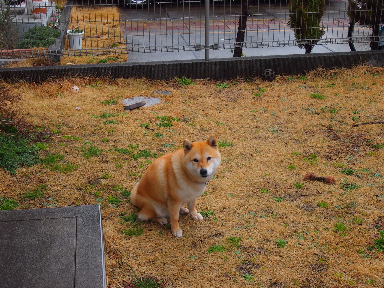 以荒原之名,托尼如何用一粒进球唤醒一个国家的绿洲