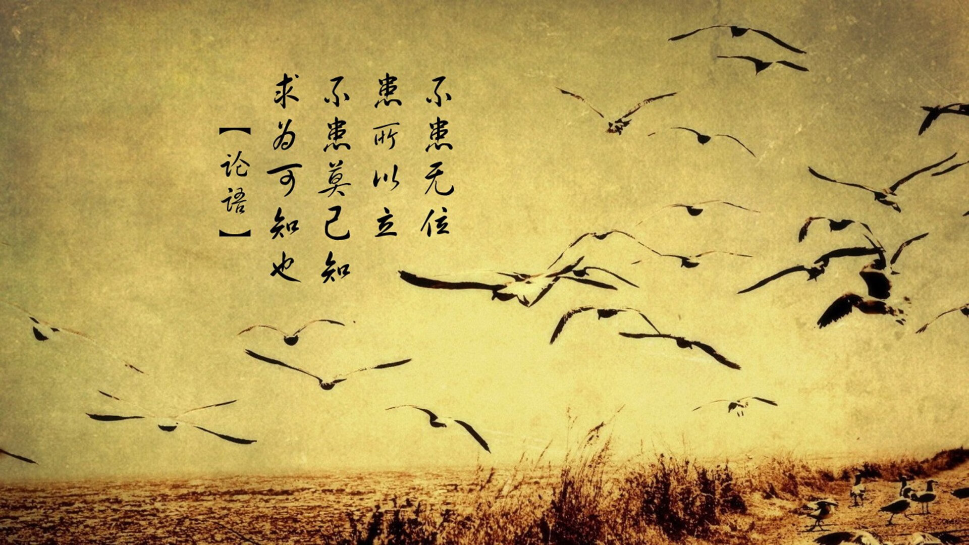 低语，雨夜洪都拉斯，沉默里昂与哈兰德的白手套