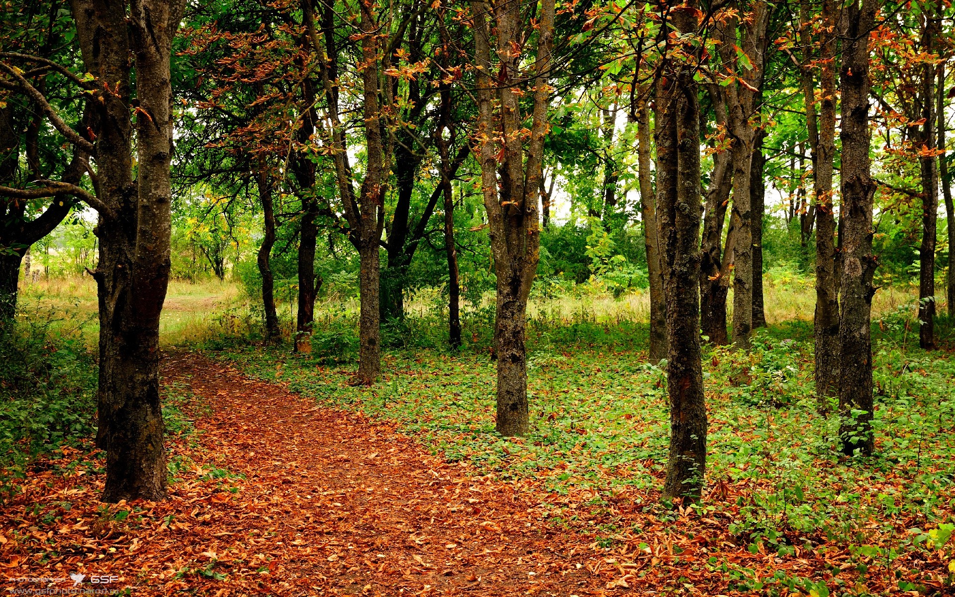 节奏大师，布鲁诺在2026世界杯之夜的完全掌控