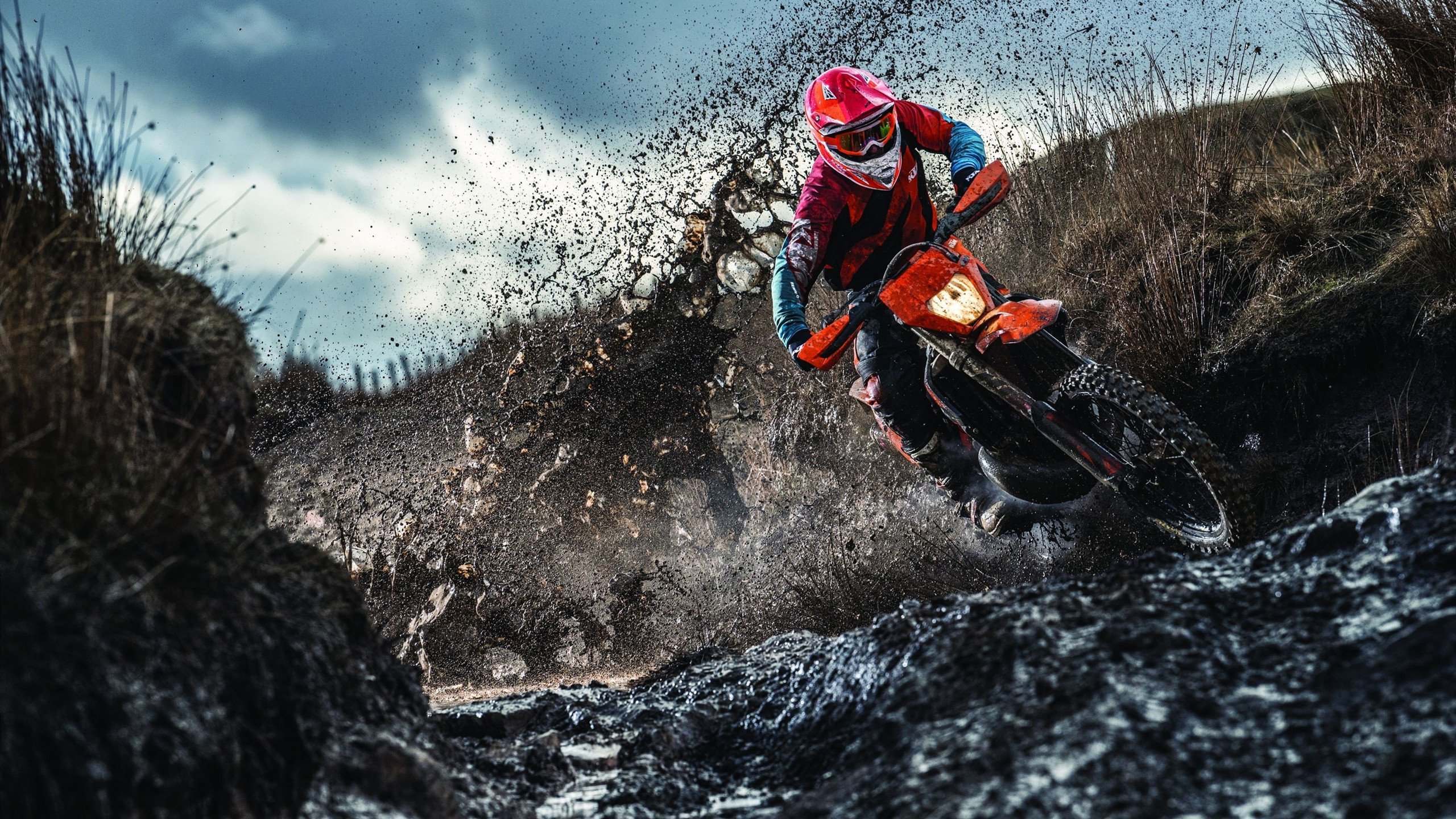 红白交响曲与叹息之墙，当压制哲学遭遇孤胆美学