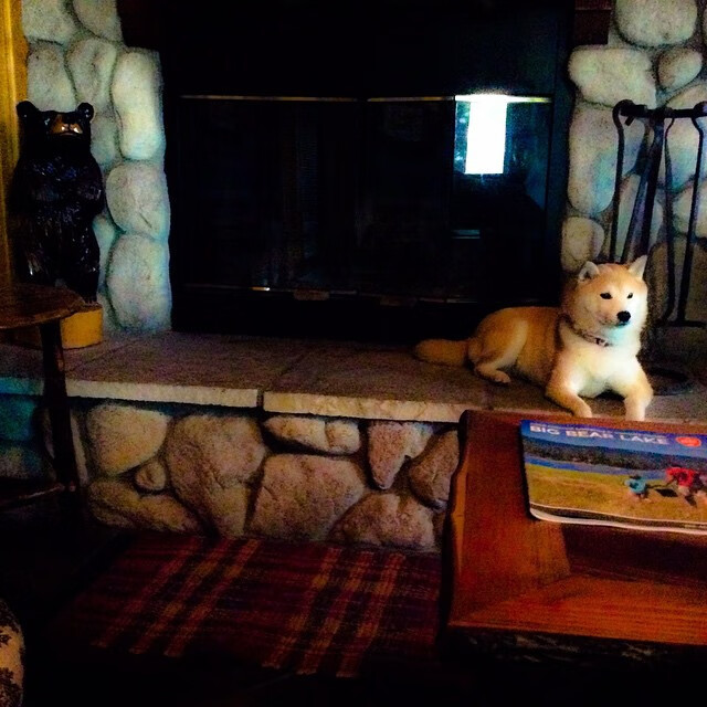 谁的鞋带，勒停了整个速贷中心？