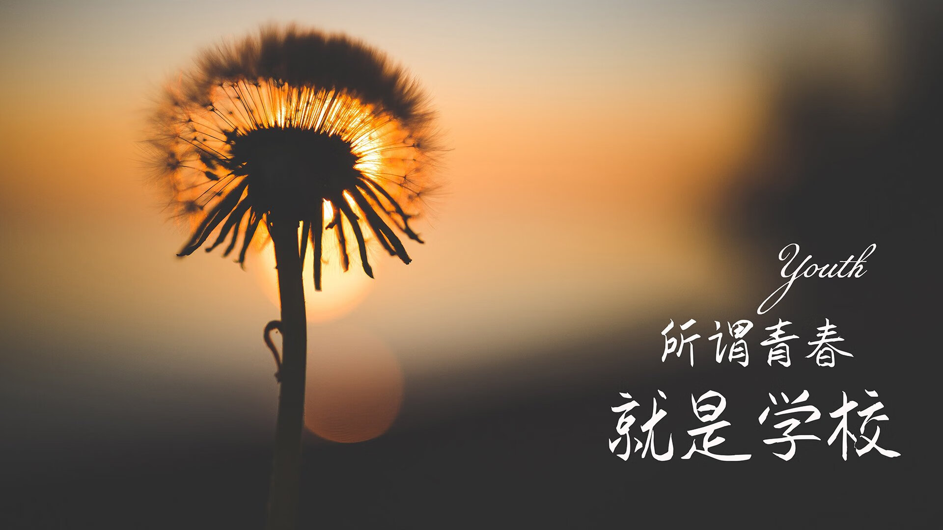 当F1引擎轰鸣遇上库里的三分雨,巅峰竞技夜,唯强者能于极限处共舞