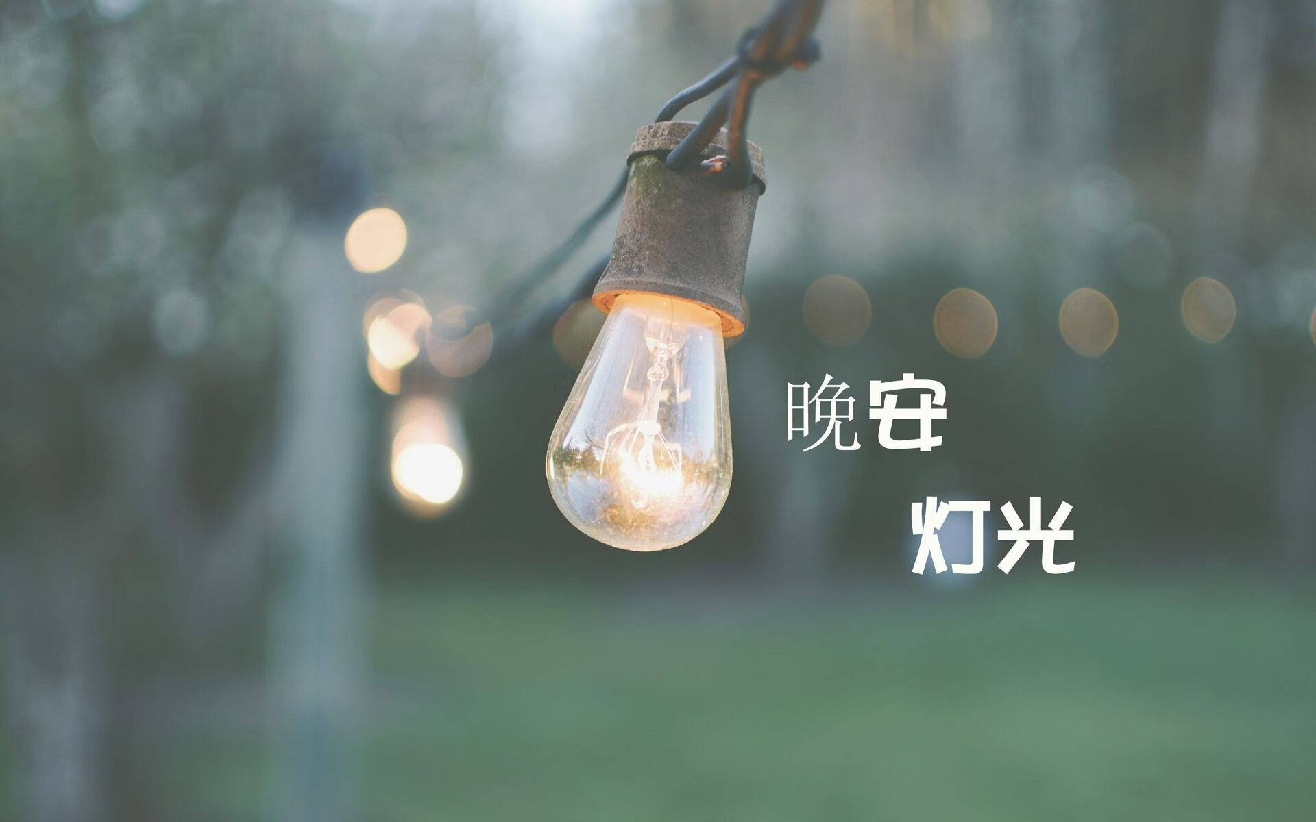 现代篮球的双面叙事，公牛的铁壁与莫兰特的锐矛