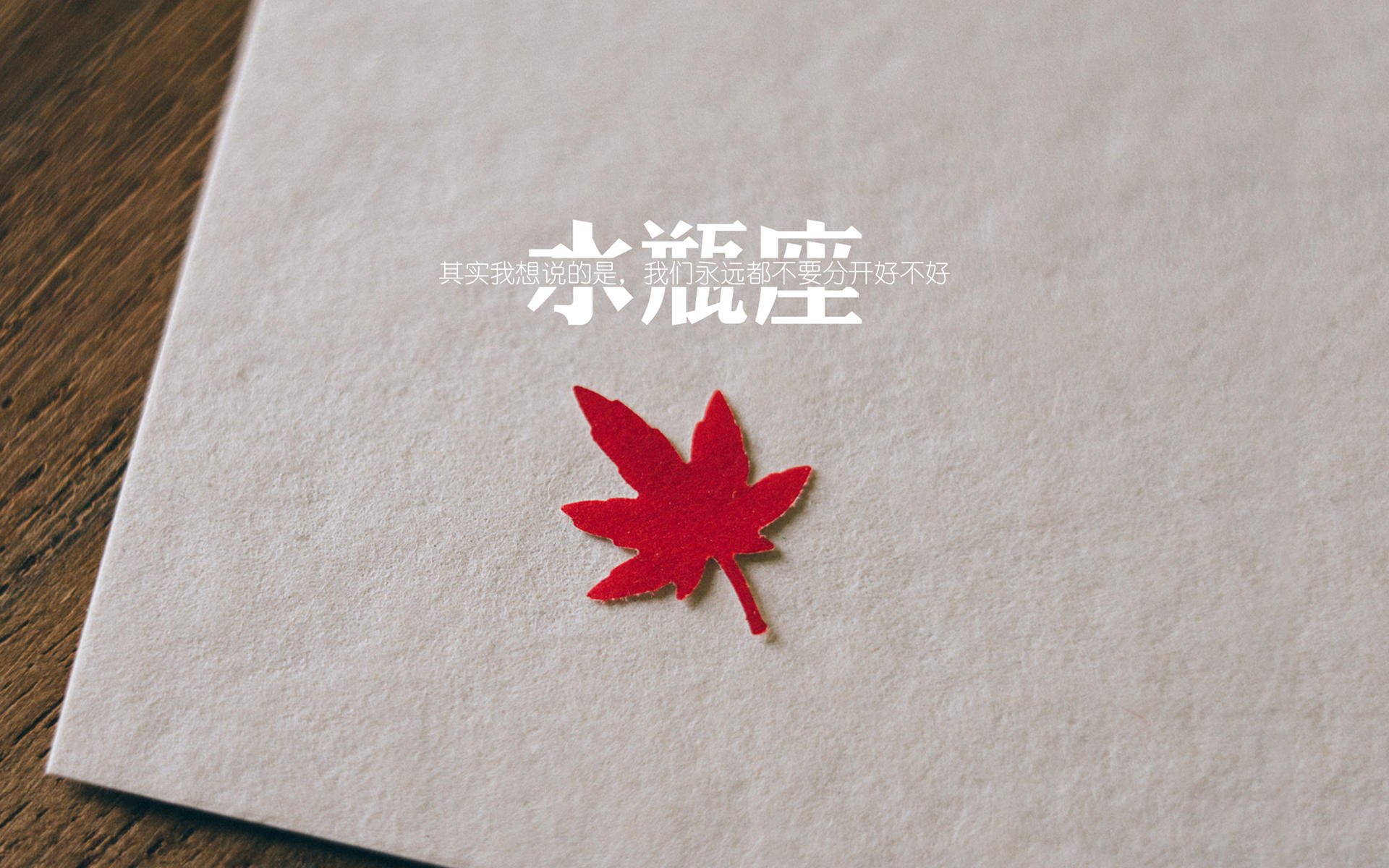 2026世界杯E组唯一奇观,保加利亚掀翻波兰的夜晚,罗德里戈用个人才华定义少数派胜利