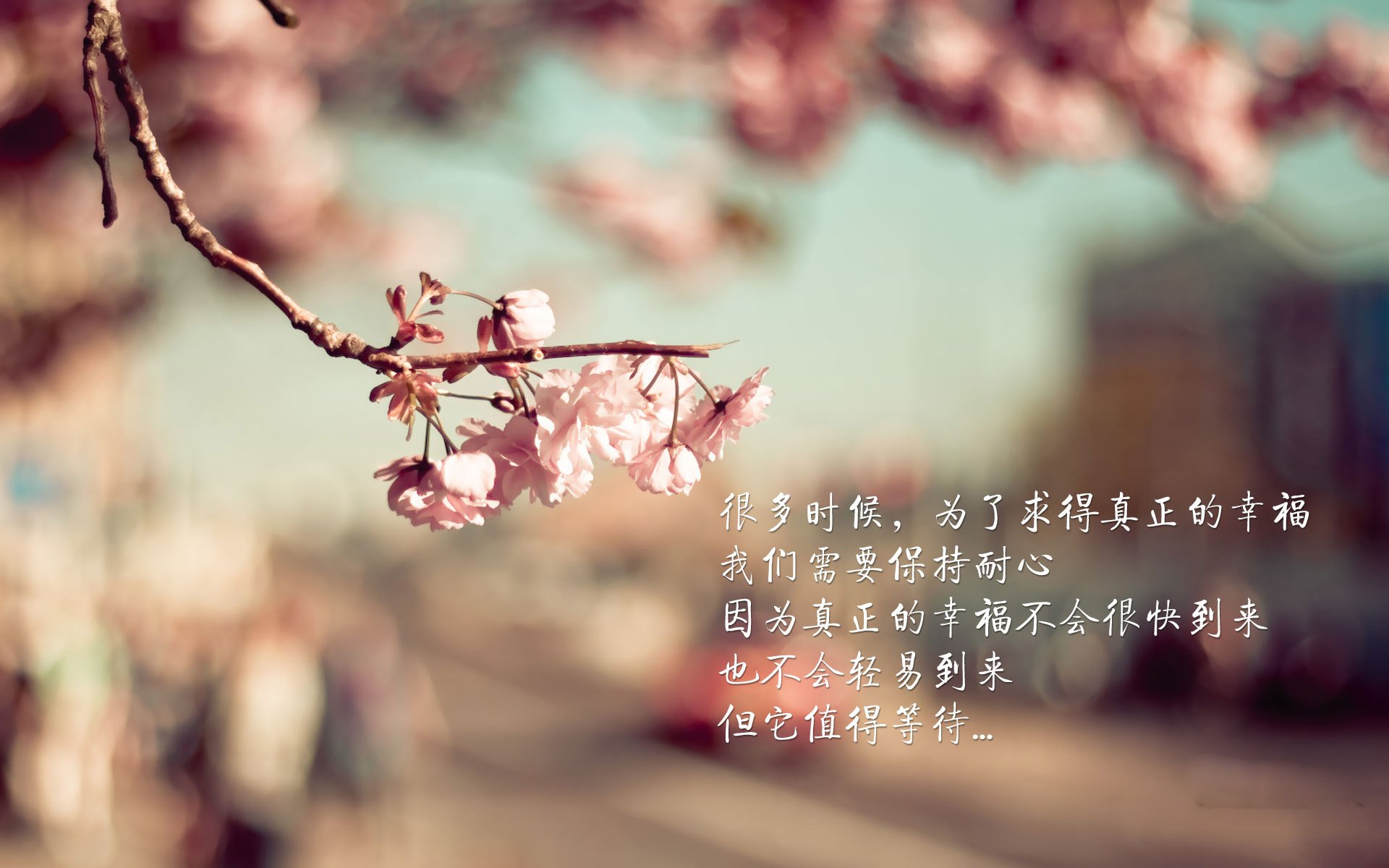 魔笛天外飞仙，白鹰浴火重生，2026世界杯E组，莫德里奇导演的史诗逆转