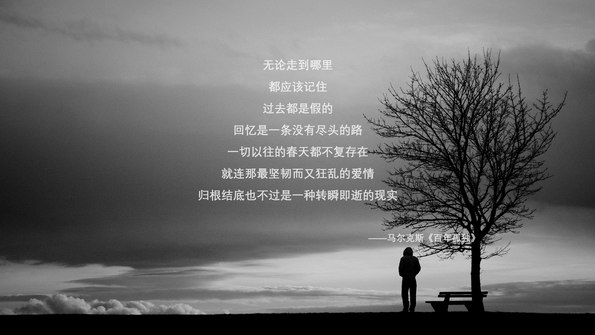 沙漠风暴席卷哥本哈根，阿联酋闪电战击溃丹麦，费利克斯一剑封喉创历史