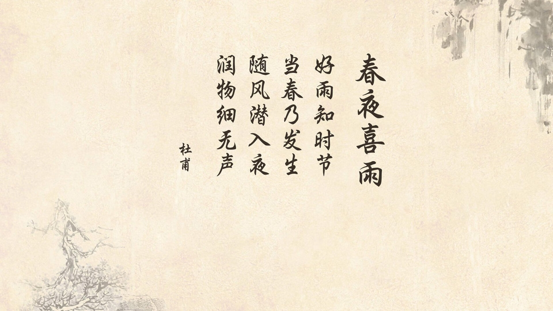 意志的绿洲,技巧的飓风,当厄瓜多尔的铜墙铁壁撞上佩德里的璀璨星河