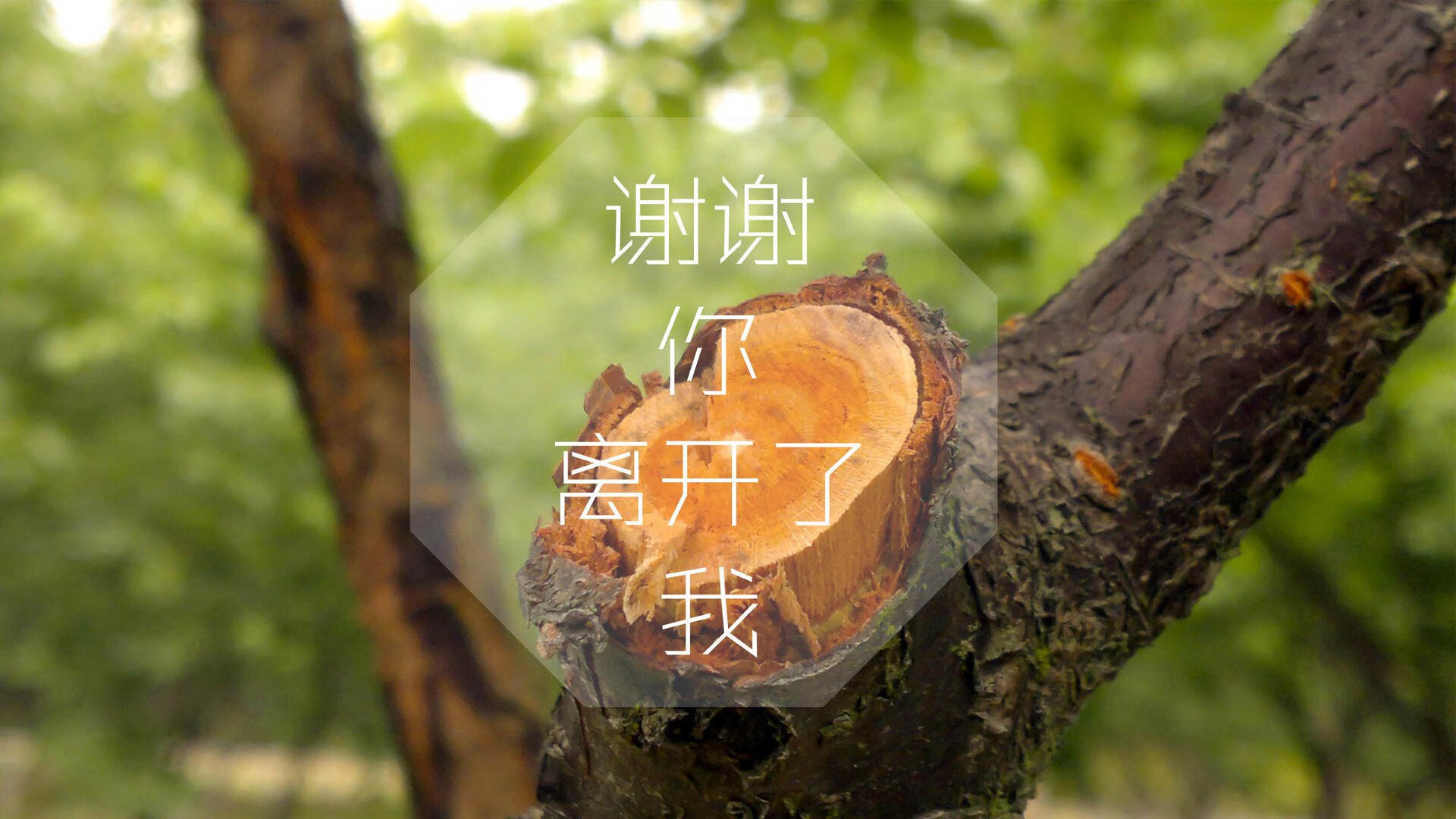 沙漠风暴与桑巴之刃,2026世界杯F组那个夜晚,乌兹别克斯坦碾压伊拉克,维尼修斯一剑封喉